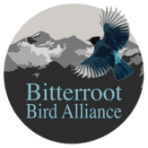 bitterroot-bird-alliance-logo-transparent-165-165