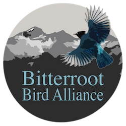 Bitterroot Bird Alliance Montana